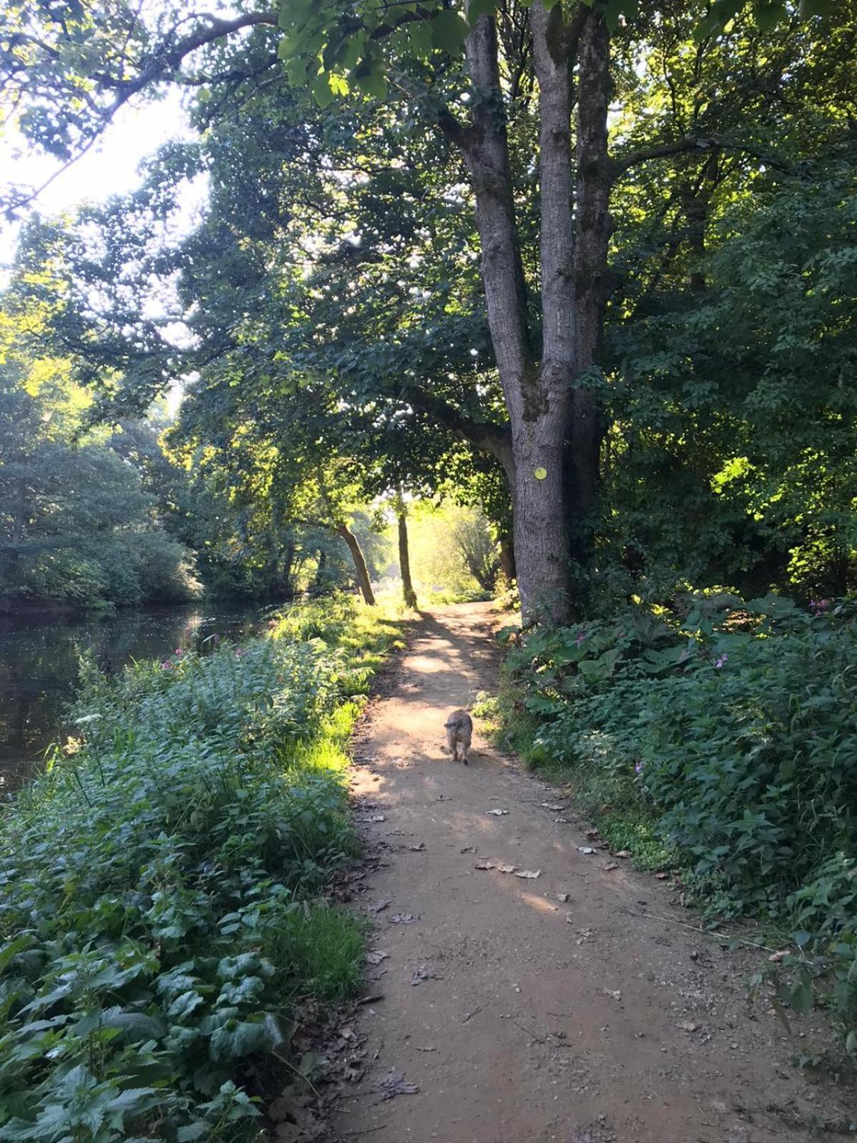 River Airebnb Bradford  Buitenkant foto